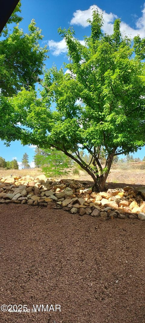 Tiny photo for 4520 Tatanka Loop Loop #A4, Show Low, AZ 85901 (MLS # 256827)