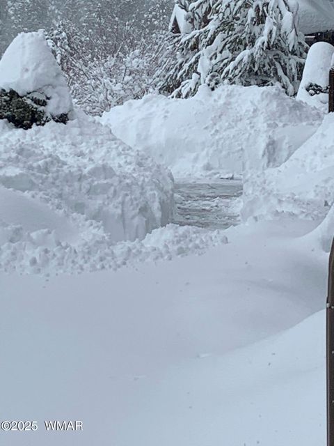 Tiny photo for 4520 Tatanka Loop Loop #A4, Show Low, AZ 85901 (MLS # 256827)