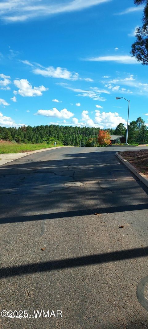 Tiny photo for 4520 Tatanka Loop Loop #A4, Show Low, AZ 85901 (MLS # 256827)