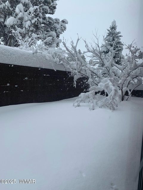 Tiny photo for 4520 Tatanka Loop Loop #A4, Show Low, AZ 85901 (MLS # 256827)