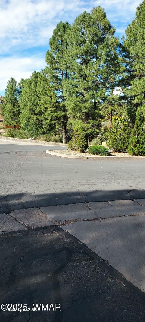 Tiny photo for 4520 Tatanka Loop Loop #A4, Show Low, AZ 85901 (MLS # 256827)