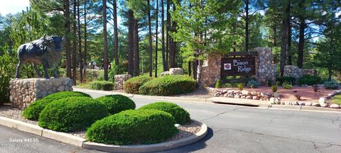 Tiny photo for 4520 Tatanka Loop Loop #A4, Show Low, AZ 85901 (MLS # 256827)