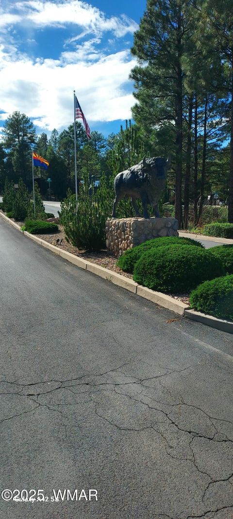 Tiny photo for 4520 Tatanka Loop Loop #A4, Show Low, AZ 85901 (MLS # 256827)