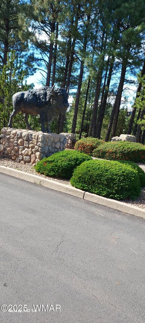 Tiny photo for 4520 Tatanka Loop Loop #A4, Show Low, AZ 85901 (MLS # 256827)