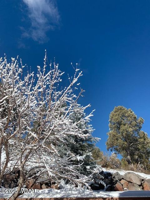 Tiny photo for 4520 Tatanka Loop Loop #A4, Show Low, AZ 85901 (MLS # 256827)