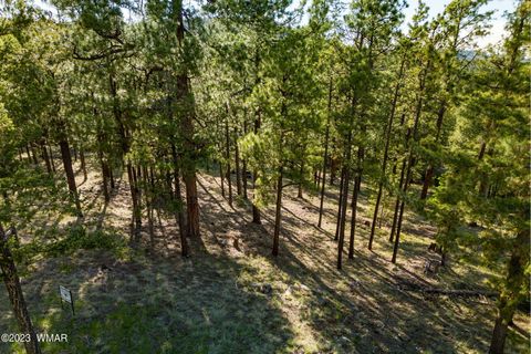 Tiny photo for 9 N1064, Greer, AZ 85927 (MLS # 255613)