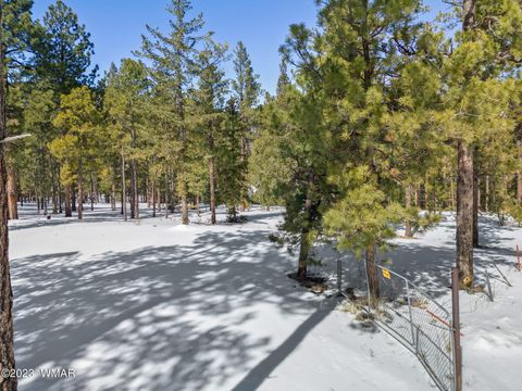 Tiny photo for 9 N1064, Greer, AZ 85927 (MLS # 255613)