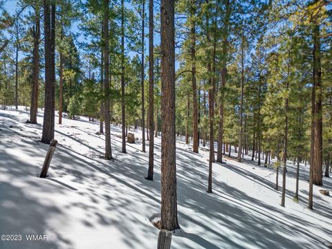 Tiny photo for 9 N1064, Greer, AZ 85927 (MLS # 255613)