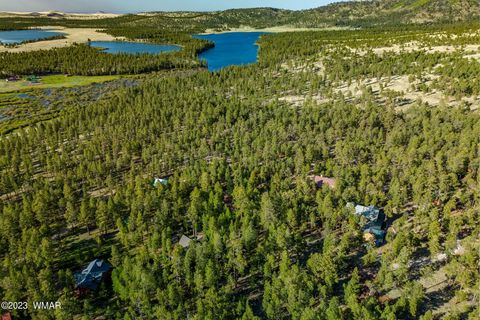 Tiny photo for 9 N1064, Greer, AZ 85927 (MLS # 255613)
