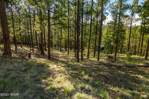 Tiny photo for 9 N1064, Greer, AZ 85927 (MLS # 255613)