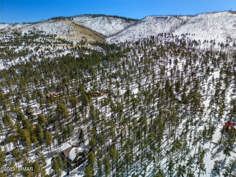 Tiny photo for 9 N1064, Greer, AZ 85927 (MLS # 255613)