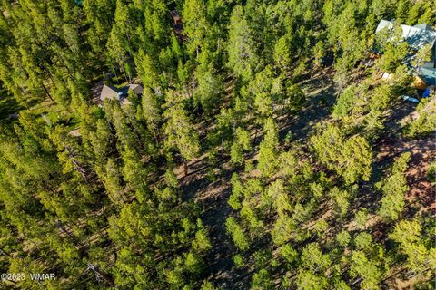 Tiny photo for 9 N1064, Greer, AZ 85927 (MLS # 255613)