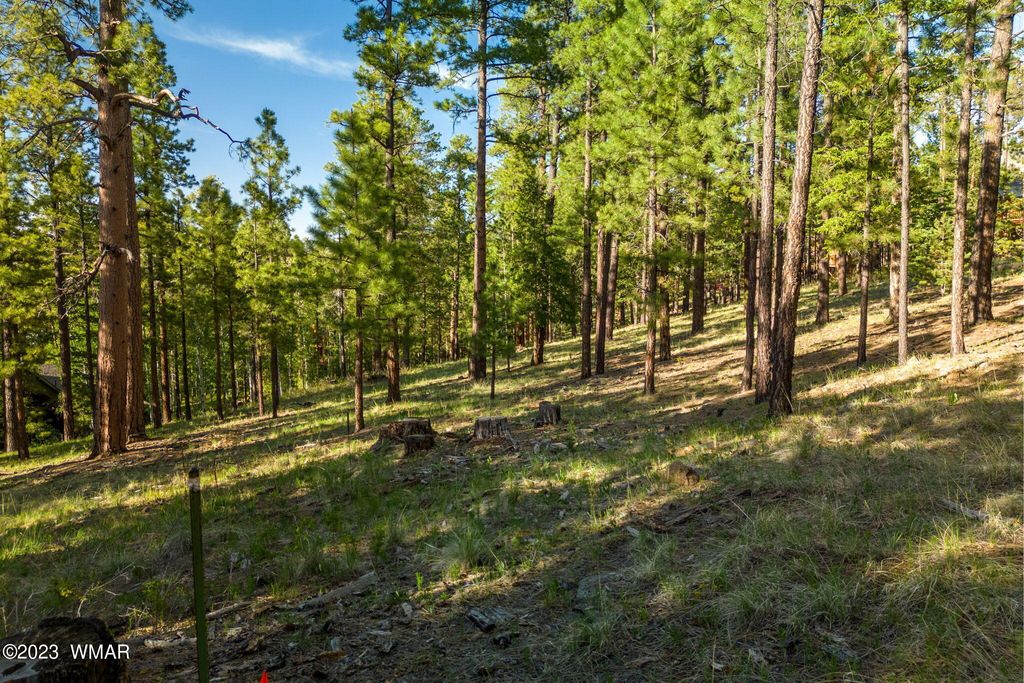 Photo for 9 N1064, Greer, AZ 85927 (MLS # 255613)