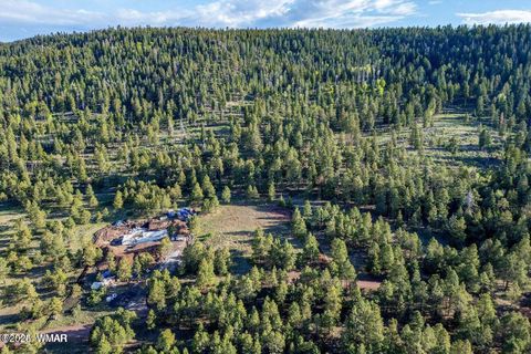 Tiny photo for 34 N 1330, Greer, AZ 85927 (MLS # 257025)