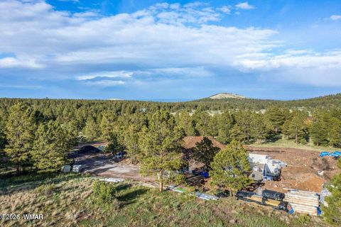 Tiny photo for 34 N 1330, Greer, AZ 85927 (MLS # 257025)