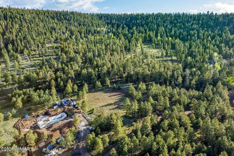 Tiny photo for 34 N 1330, Greer, AZ 85927 (MLS # 257025)