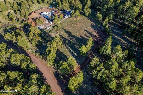 Tiny photo for 34 N 1330, Greer, AZ 85927 (MLS # 257025)