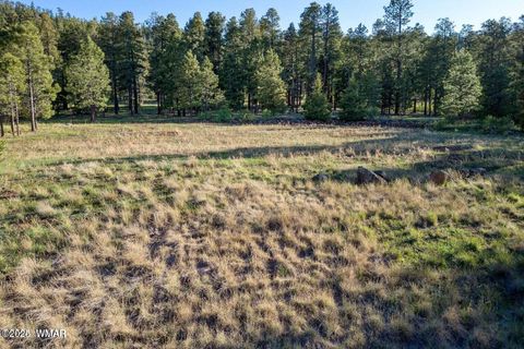 Tiny photo for 34 N 1330, Greer, AZ 85927 (MLS # 257025)