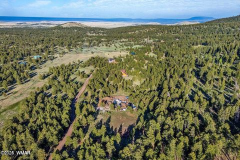 Tiny photo for 34 N 1330, Greer, AZ 85927 (MLS # 257025)