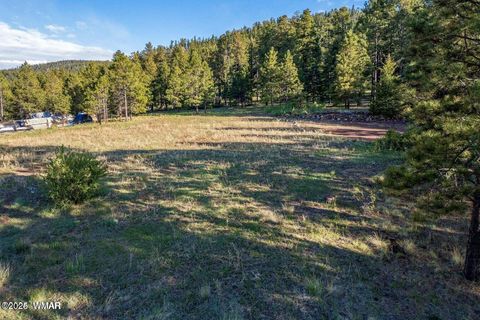 Tiny photo for 34 N 1330, Greer, AZ 85927 (MLS # 257025)