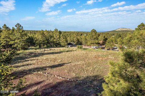 Tiny photo for 34 N 1330, Greer, AZ 85927 (MLS # 257025)