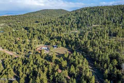 Tiny photo for 34 N 1330, Greer, AZ 85927 (MLS # 257025)
