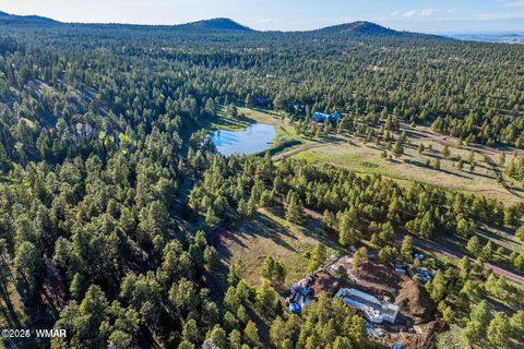 Tiny photo for 34 N 1330, Greer, AZ 85927 (MLS # 257025)
