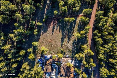 Tiny photo for 34 N 1330, Greer, AZ 85927 (MLS # 257025)