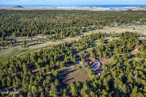 Tiny photo for 34 N 1330, Greer, AZ 85927 (MLS # 257025)