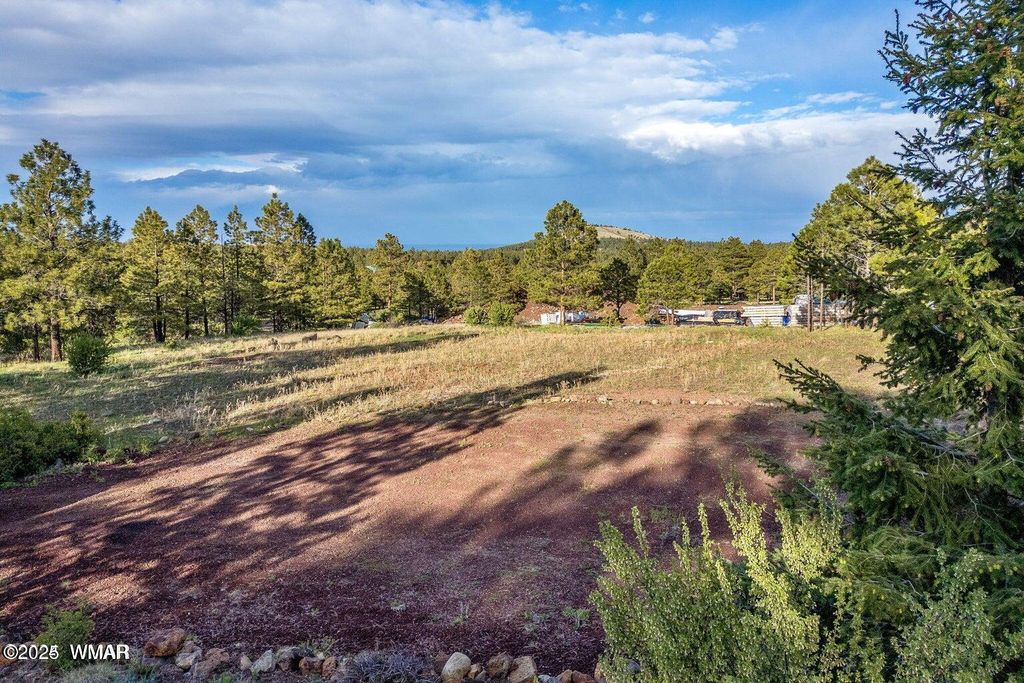 Photo for 34 N 1330, Greer, AZ 85927 (MLS # 257025)
