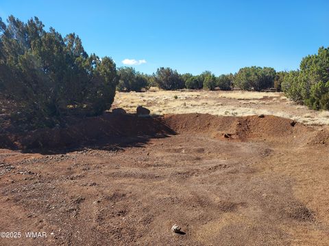 Tiny photo for TBD High Plains Rd, Show Low, AZ 85901 (MLS # 256148)