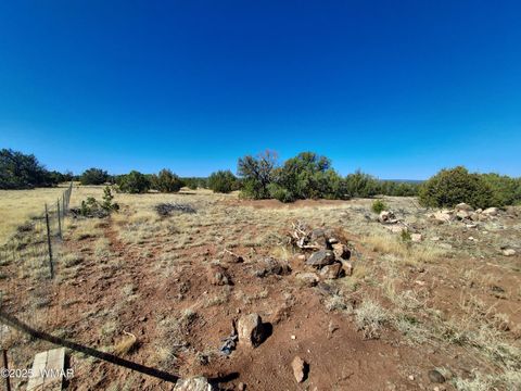 Tiny photo for TBD High Plains Rd, Show Low, AZ 85901 (MLS # 256148)