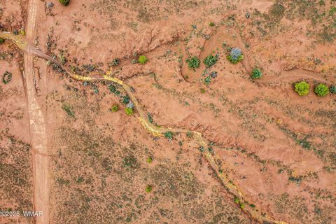 Tiny photo for 8199 Yaqui Lane, Snowflake, AZ 85937 (MLS # 258766)