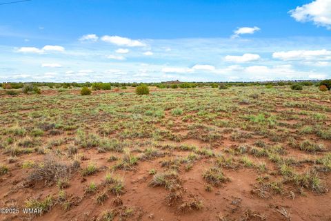 Tiny photo for 8199 Yaqui Lane, Snowflake, AZ 85937 (MLS # 258766)