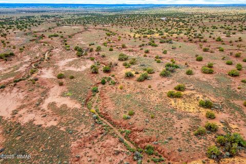 Tiny photo for 8199 Yaqui Lane, Snowflake, AZ 85937 (MLS # 258766)