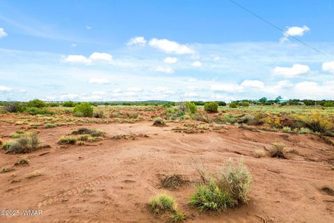 Tiny photo for 8199 Yaqui Lane, Snowflake, AZ 85937 (MLS # 258766)