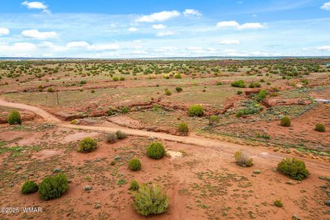 Tiny photo for 8199 Yaqui Lane, Snowflake, AZ 85937 (MLS # 258766)