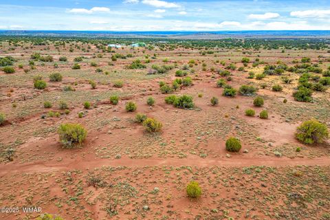 Tiny photo for 8199 Yaqui Lane, Snowflake, AZ 85937 (MLS # 258766)