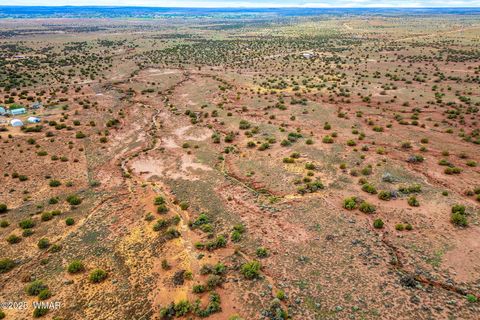 Tiny photo for 8199 Yaqui Lane, Snowflake, AZ 85937 (MLS # 258766)