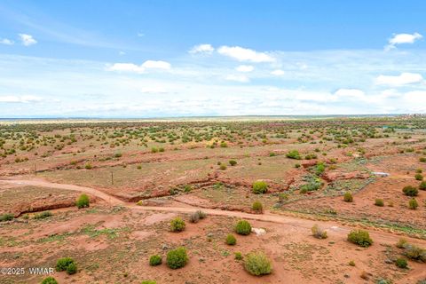 Tiny photo for 8199 Yaqui Lane, Snowflake, AZ 85937 (MLS # 258766)