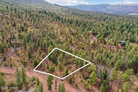 Tiny photo for 14 County Rd 2074, Alpine, AZ 85920 (MLS # 257664)