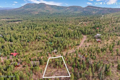 Tiny photo for 14 County Rd 2074, Alpine, AZ 85920 (MLS # 257664)