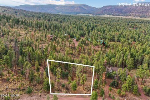 Tiny photo for 14 County Rd 2074, Alpine, AZ 85920 (MLS # 257664)