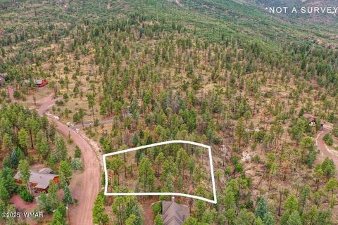 Tiny photo for 14 County Rd 2074, Alpine, AZ 85920 (MLS # 257664)