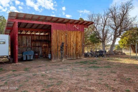 Tiny photo for 983 Oak Grove Road, Show Low, AZ 85901 (MLS # 255646)