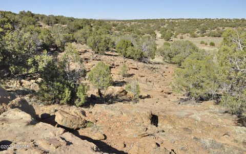 Tiny photo for 20 N8564, Concho, AZ 85924 (MLS # 251293)