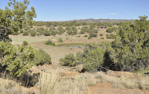 Tiny photo for 20 N8564, Concho, AZ 85924 (MLS # 251293)