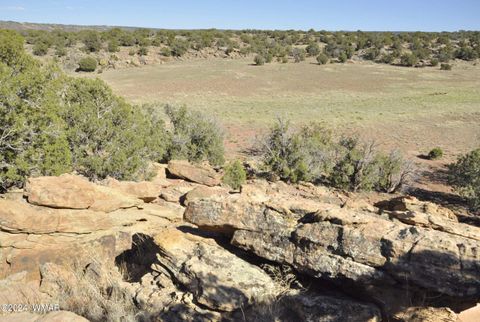 Tiny photo for 20 N8564, Concho, AZ 85924 (MLS # 251293)