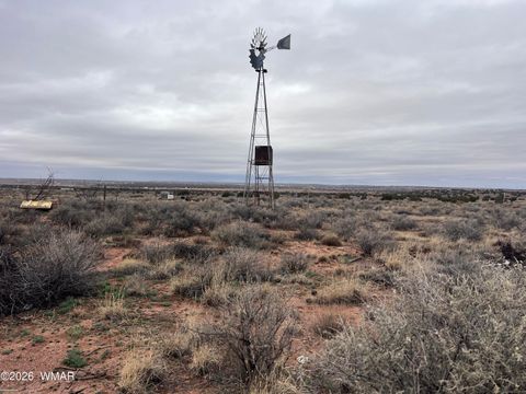 Tiny photo for 9594 Buckskin Trail, Snowflake, AZ 85937 (MLS # 259576)