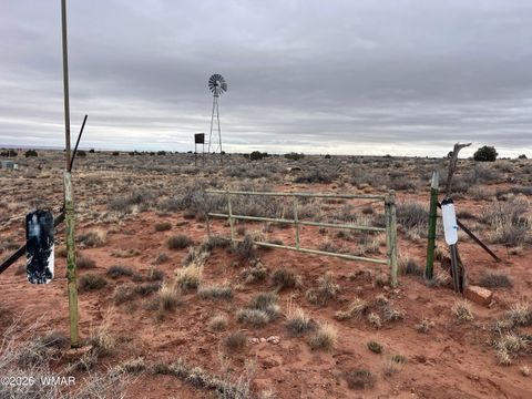 Tiny photo for 9594 Buckskin Trail, Snowflake, AZ 85937 (MLS # 259576)